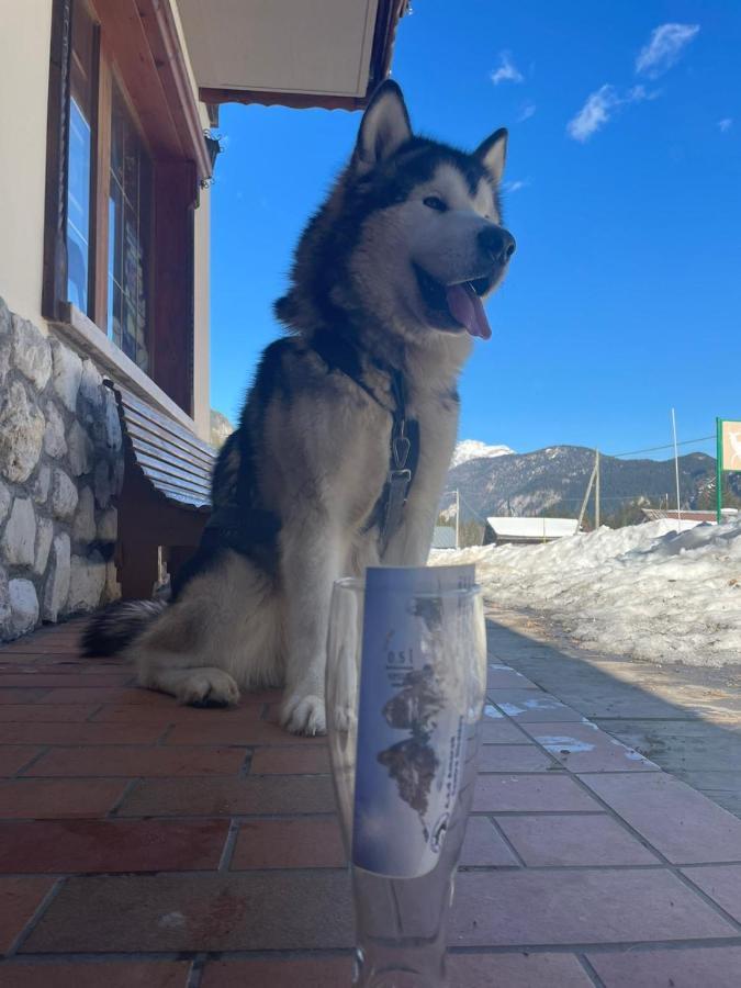 Al Cervo Albergo - Hotel Stabiziane Bagian luar foto