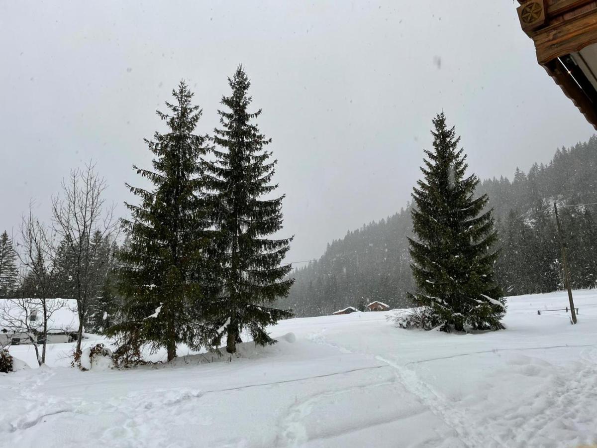 Al Cervo Albergo - Hotel Stabiziane Bagian luar foto