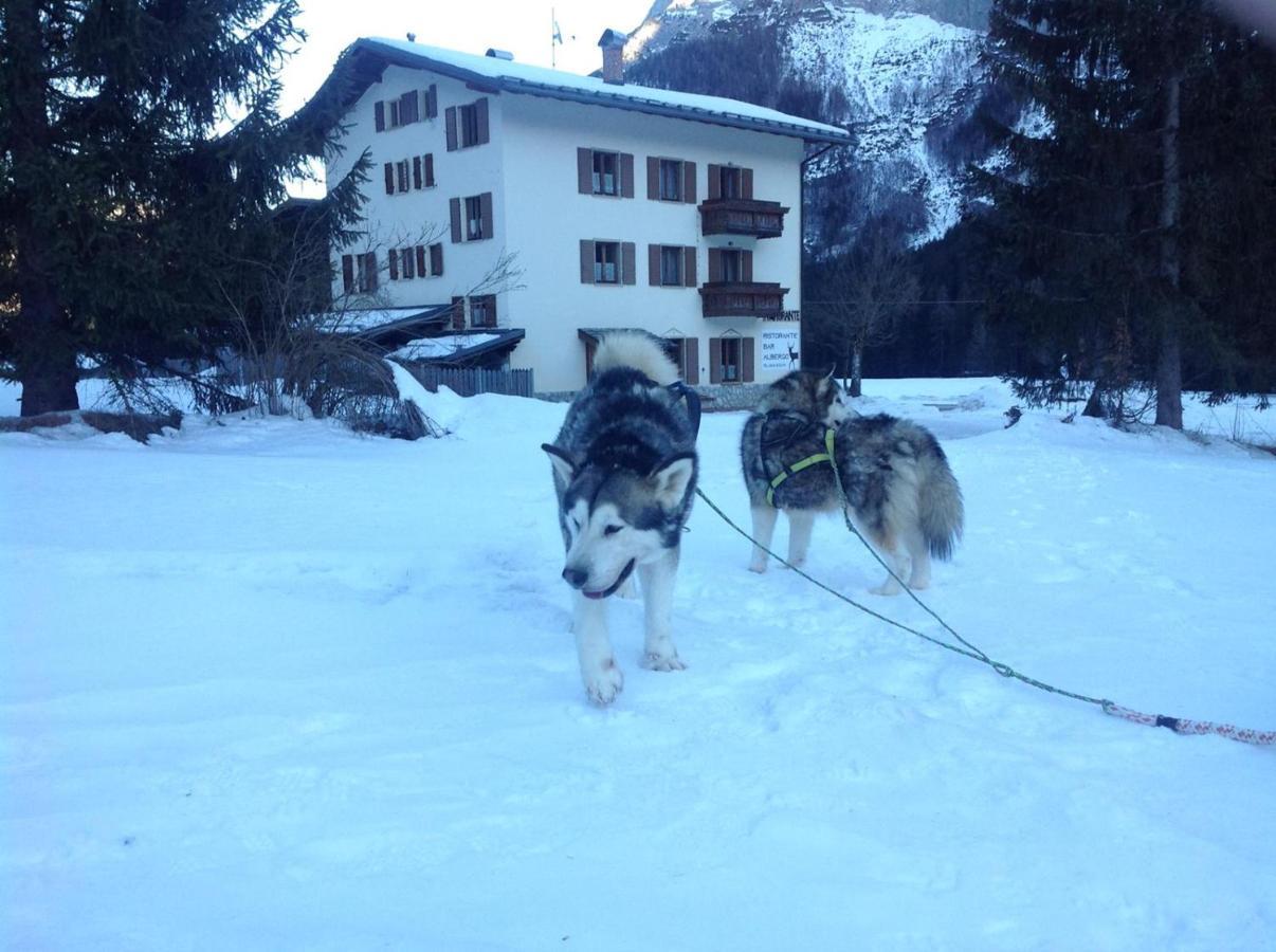 Al Cervo Albergo - Hotel Stabiziane Bagian luar foto