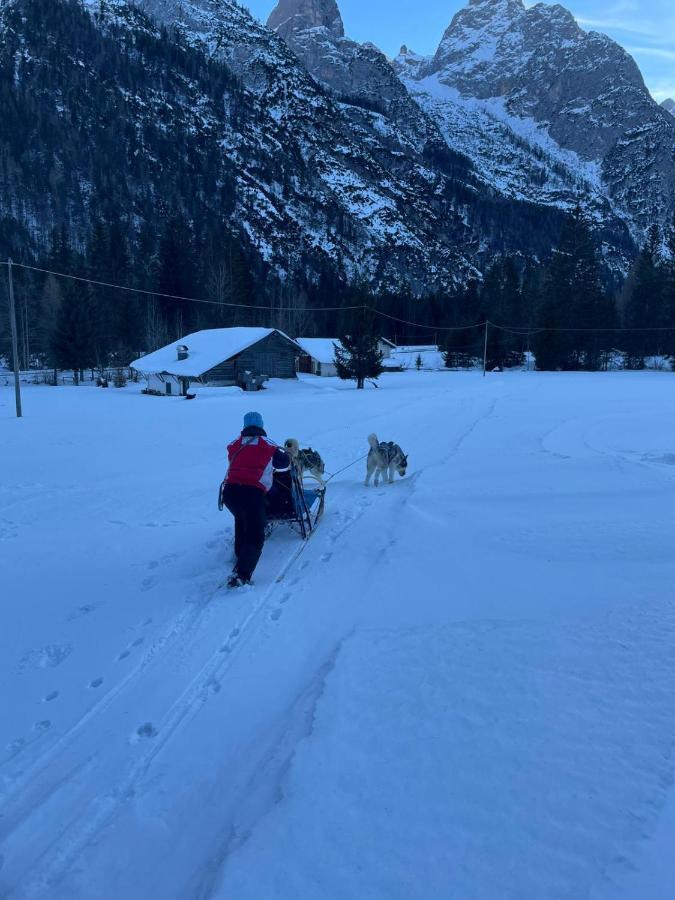Al Cervo Albergo - Hotel Stabiziane Bagian luar foto