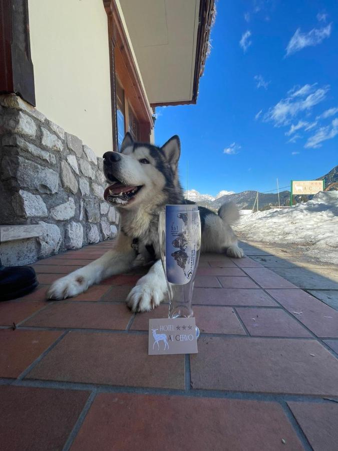Al Cervo Albergo - Hotel Stabiziane Bagian luar foto